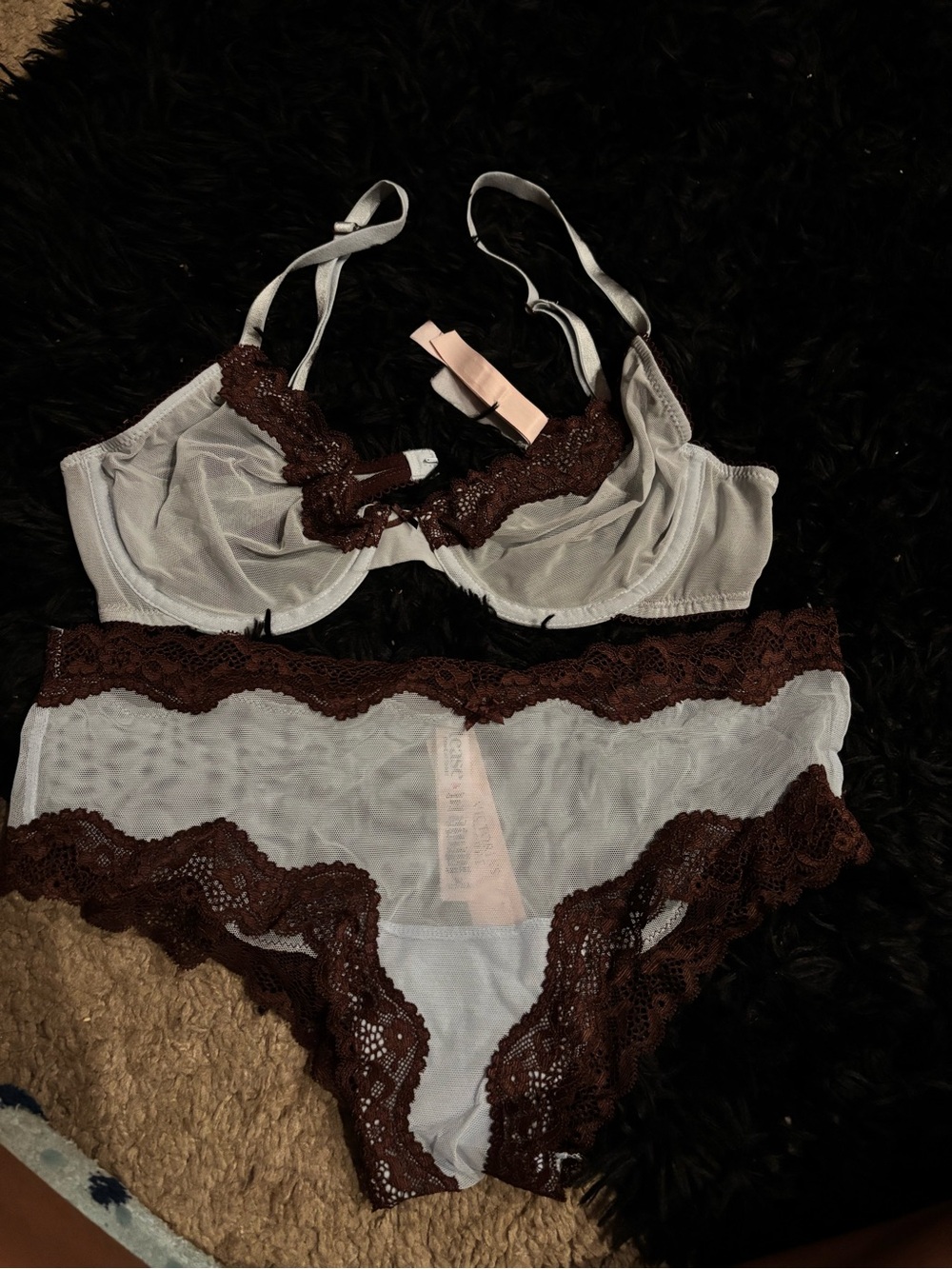 Sheer Lace Trim Bra & Brief Set in Light Gray with Chocolate Lace c34 set